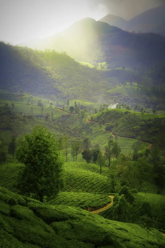 Karnataka — gallery photo