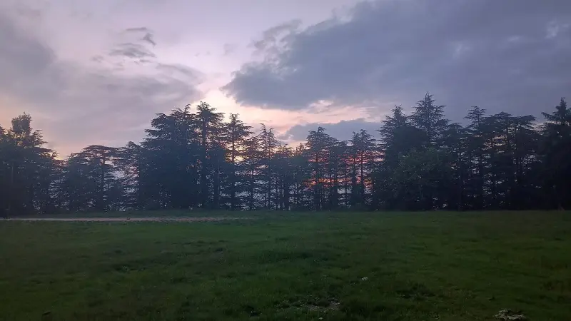 Shimla