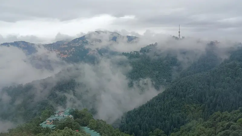 Shimla