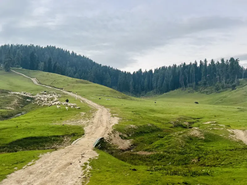 Gulmarg