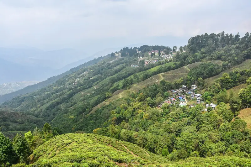 Darjeeling