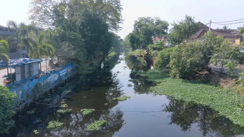 Alleppey