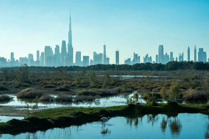 Dubai