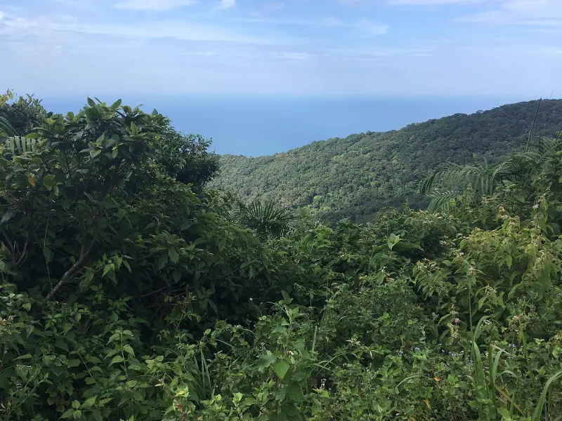 Da Nang