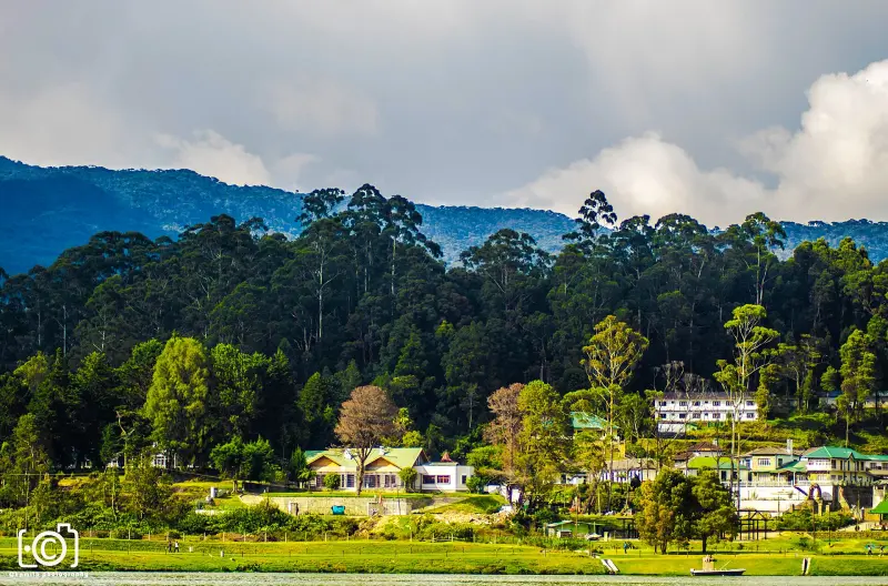 Nuwara Eliya