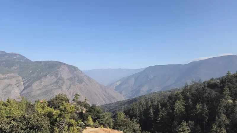 Paro