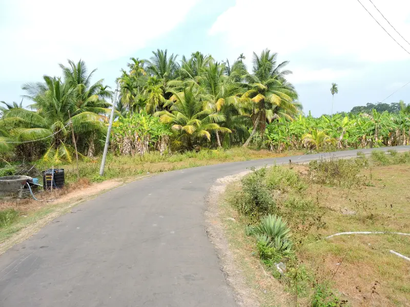 Neil Island